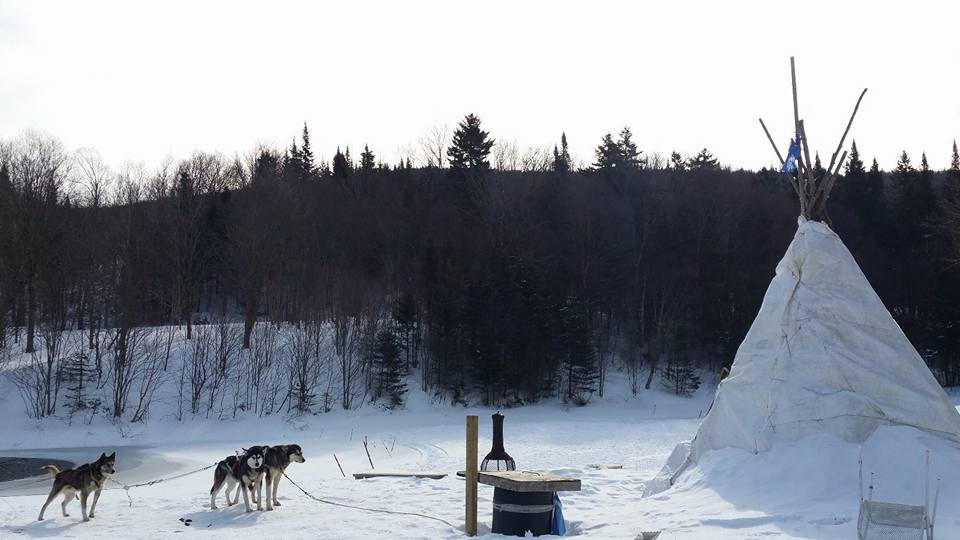Québec_Canada_nature_neige_traineaux-chiens
